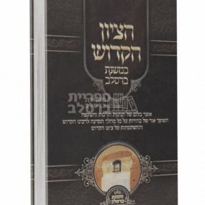 הציון הקדוש במשנת ברסלב: מדריך והשקפה לר' נחמן מברסלב מאת ר' יעקב נתן אנשין