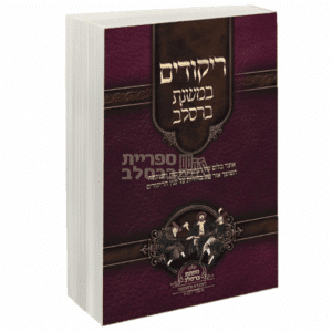 ריקודים במשנת ברסלב